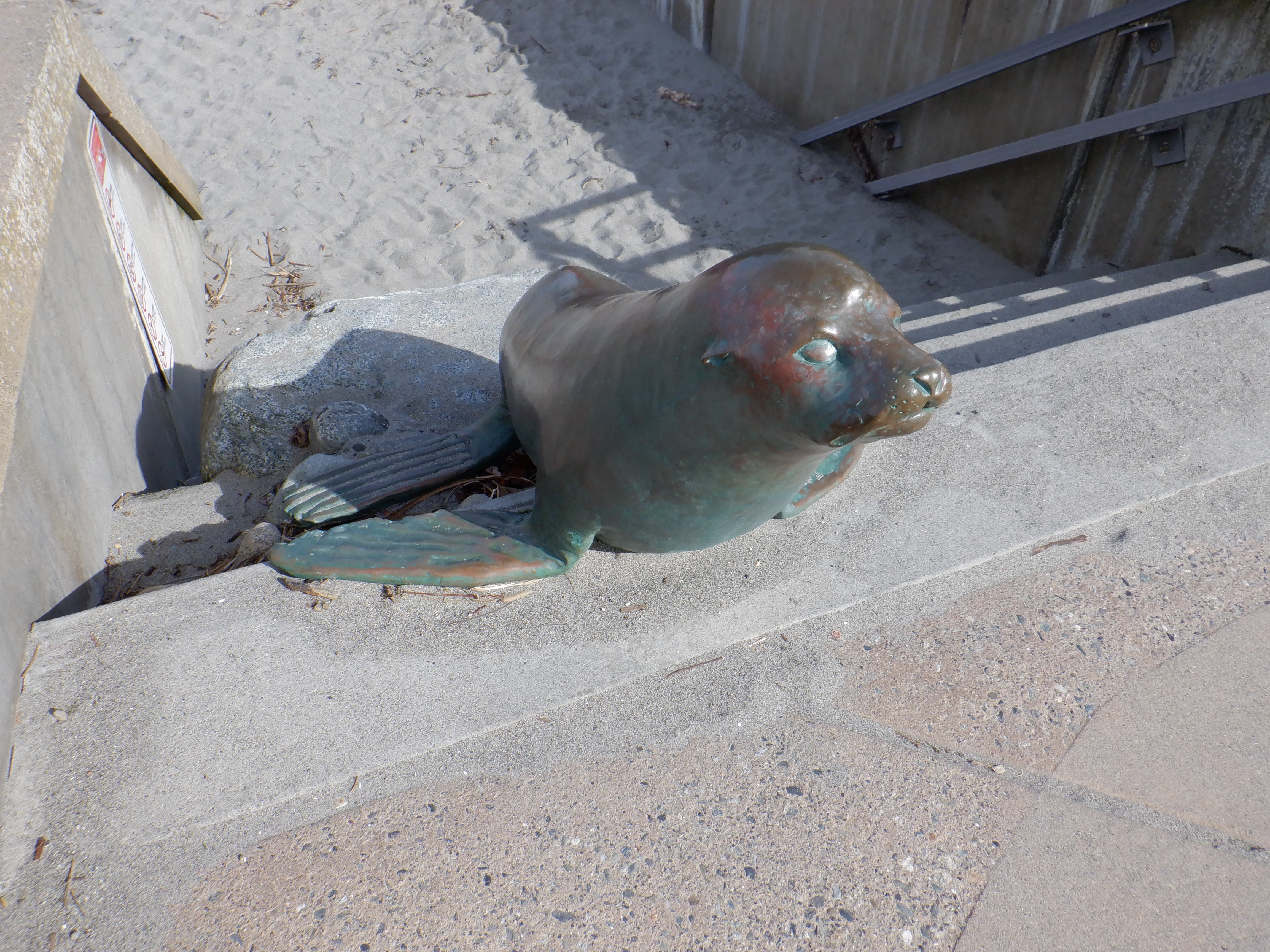 ./2020/03 - Seattle/AD_CF0911.JPG